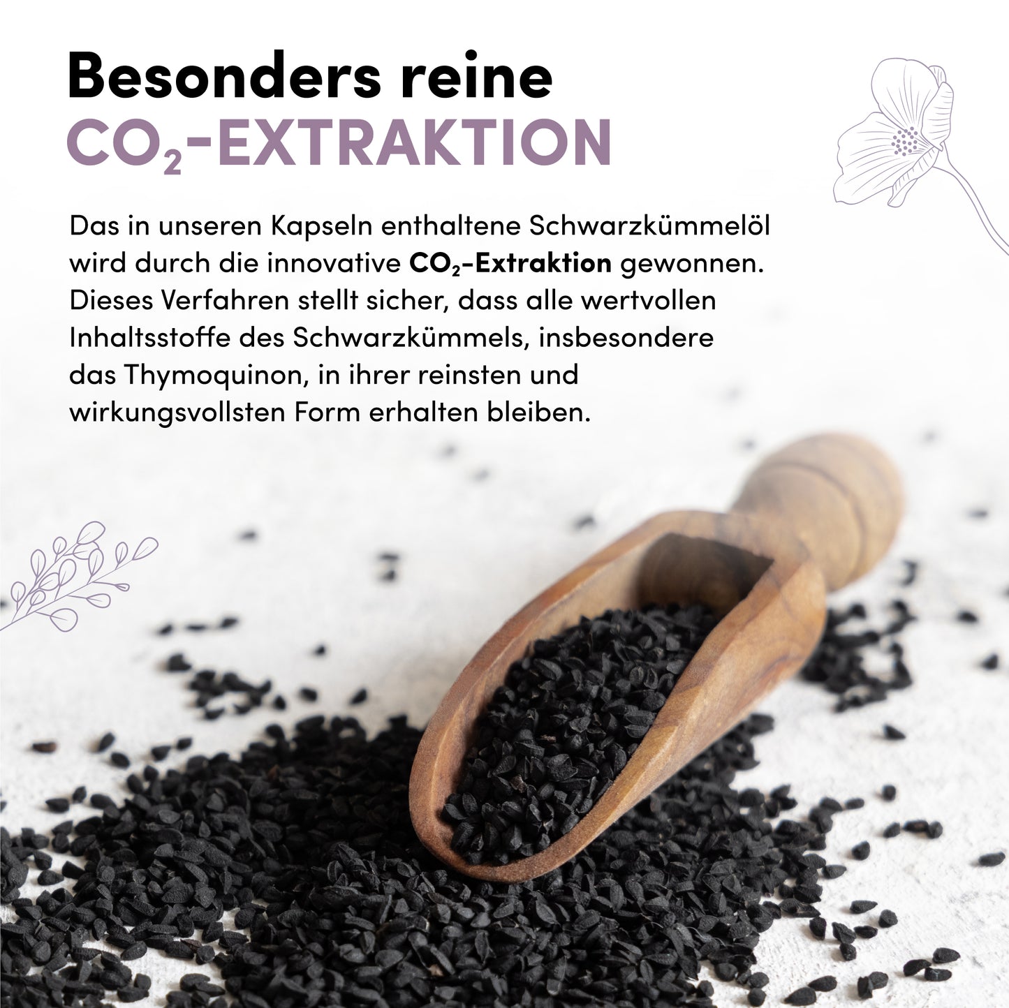 Cápsulas blandas de aceite de comino negro