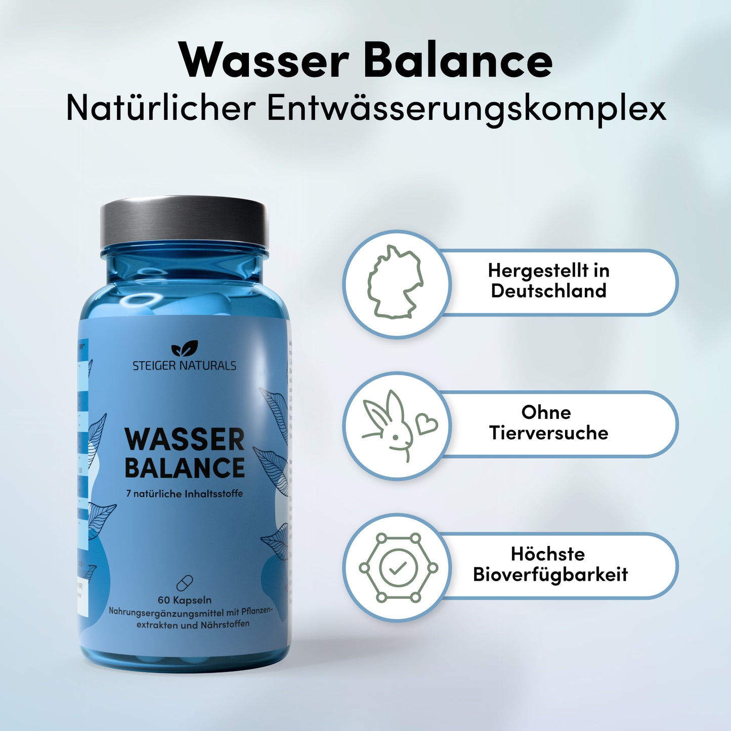 Wasser Balance - complejo natural de drenaje