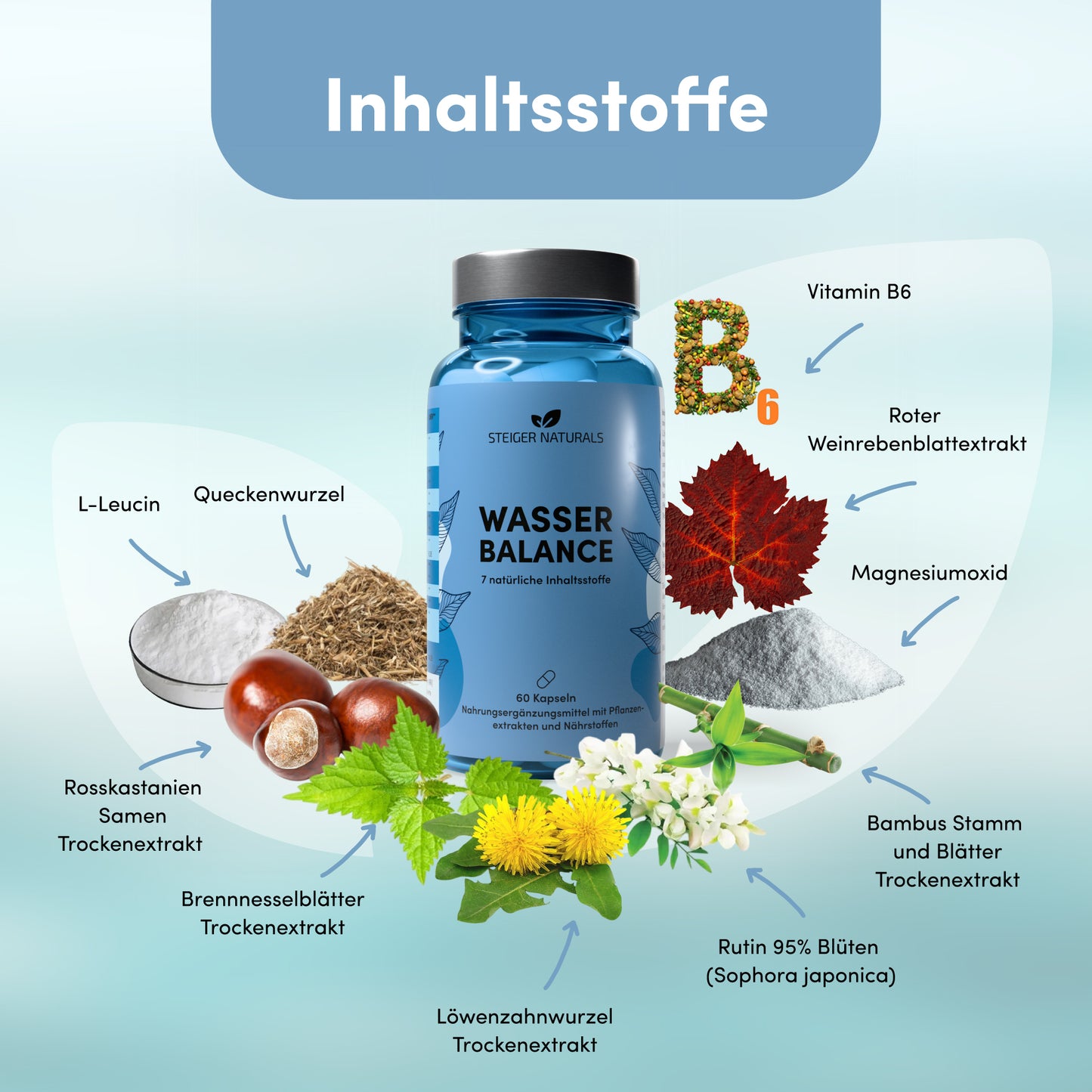 Wasser Balance - complejo natural de drenaje
